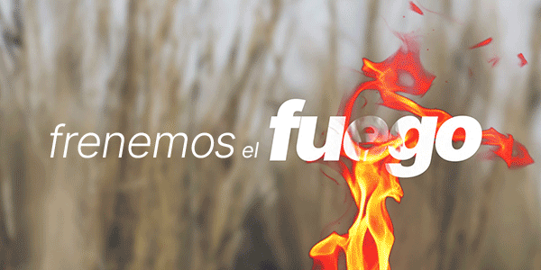 Publicidad