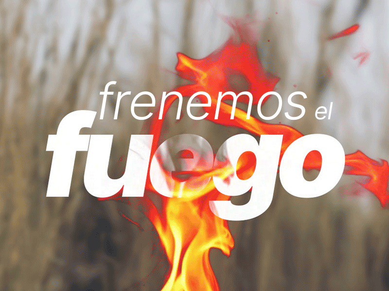 Publicidad